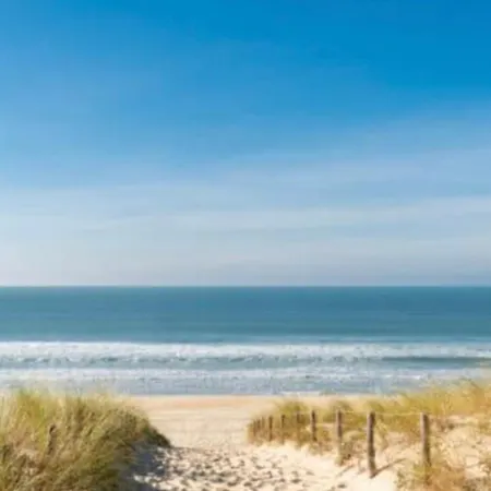 Cap Ferret 44 Hectares